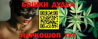 гидропоника Сланцы