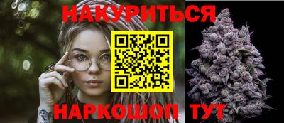 гидропоника Сланцы
