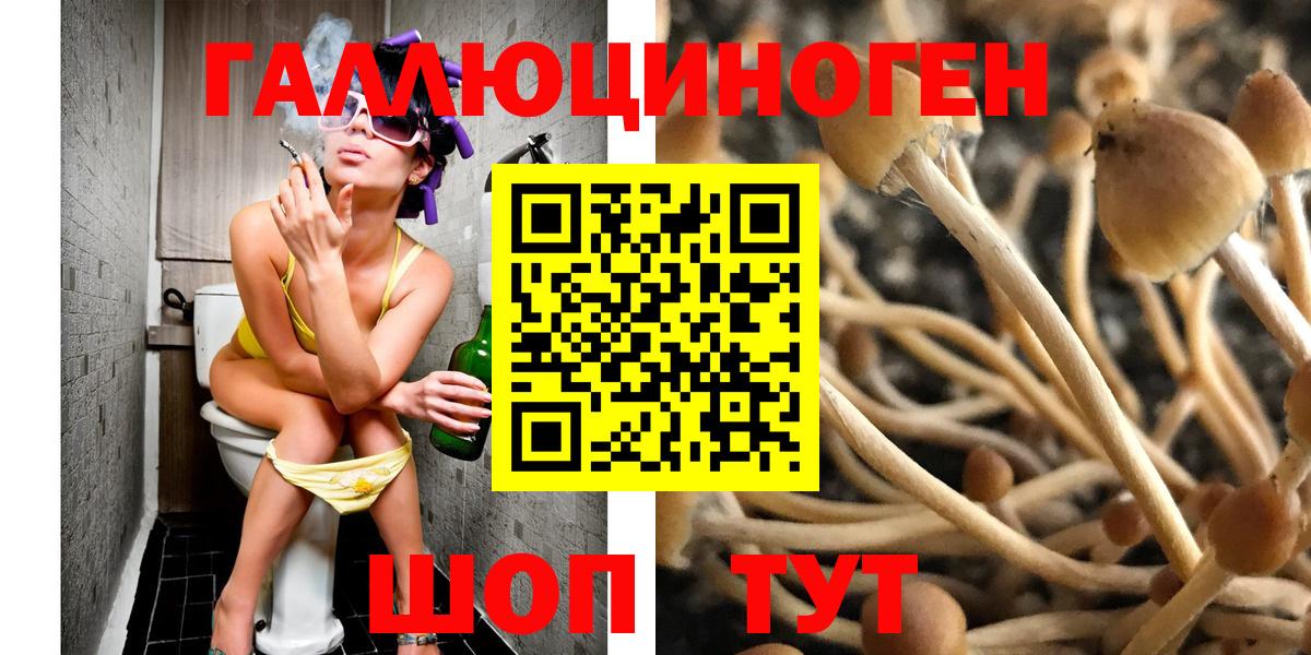 Псилоцибиновые грибы мухоморы  Вход с VPN  Рассказово 